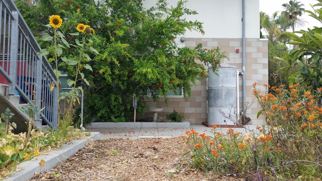 School garden water tank. Copyright Permasystems