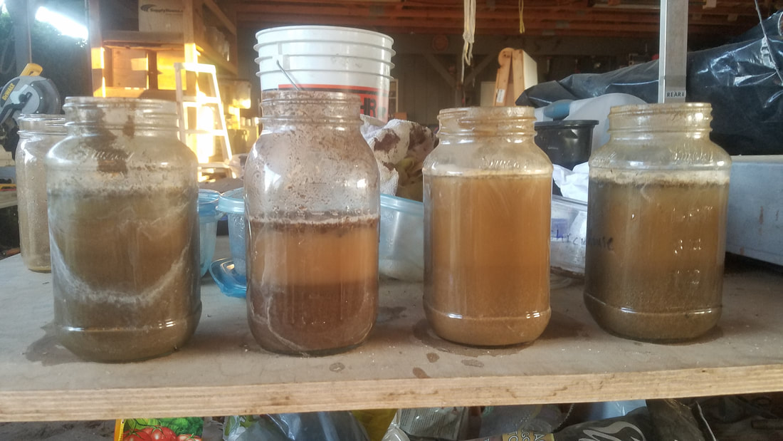 Testing soil composition using 4 glass jars filled with soil and water