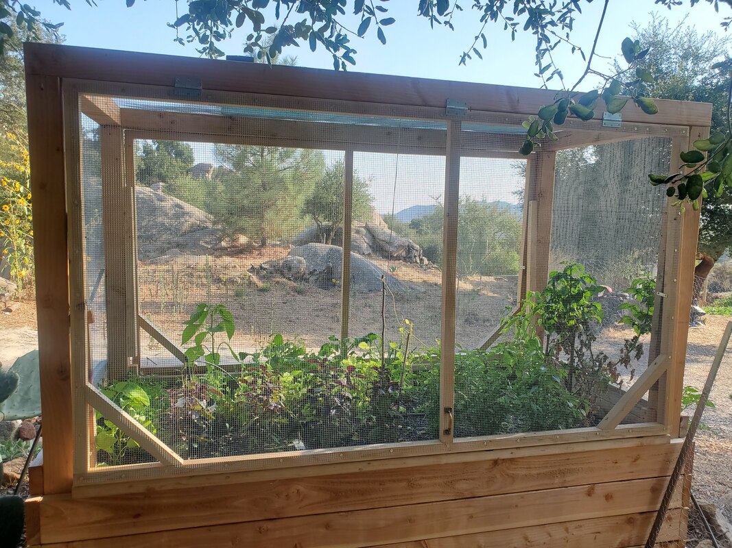 A wooden raised garden bed with wire covered frame to stop preying critters from eating vegetables and boulders in background located in Ramona, San Diego County, California