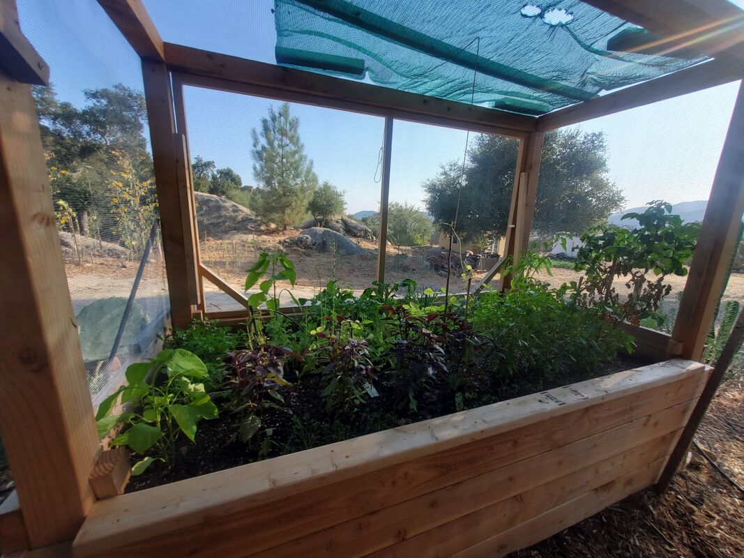 Front door open for easy acces to a wooden raised garden bed with wire covered frame to stop preying critters from eating vegetable plants and boulders in background