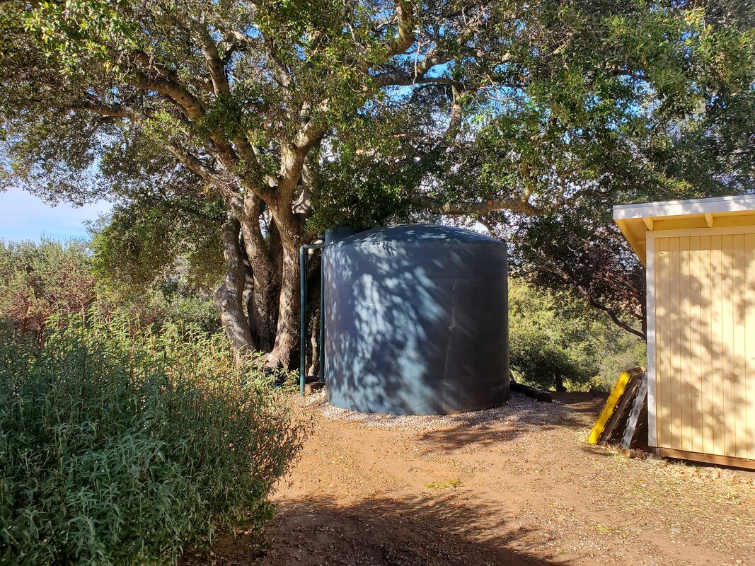 5000 gallon green water tank with pipes to collect rainwater from roof sitting under large oak tree