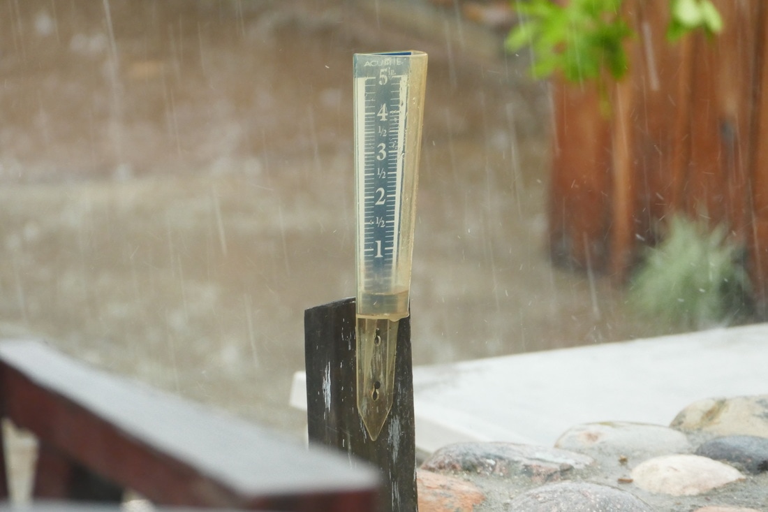 Measuring rainfall with rain gauge. Copyright Permasystems