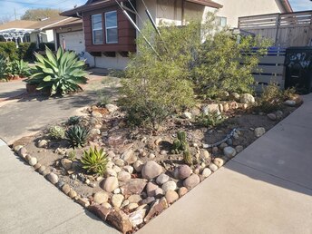 In front of home and next to driveway, overflow from rainwater tank behind fence enters into this meandering rocky dry stream bed helping to slow, spread and sink the water and make it more available for plants in Clairemont Mesa