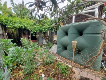 Green 530 gallon Bushman Slimline rainwater tank along back wall of home catches water to be used in home garden next to it