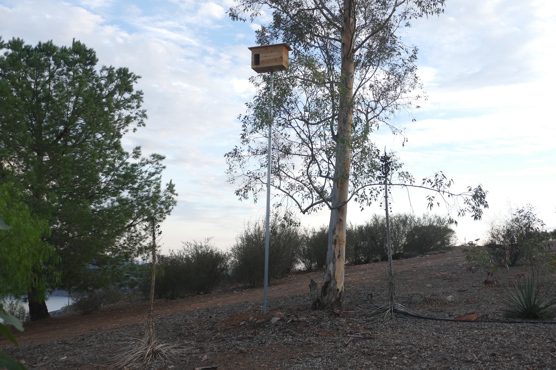 Barn Owl nest box. Copyright Permasytems